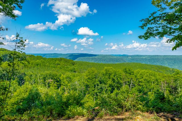 0 High Ground Road 2222, Guild, TN 37340