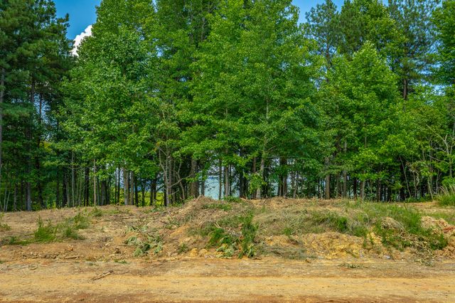 0 High Ground Road 2222, Guild, TN 37340