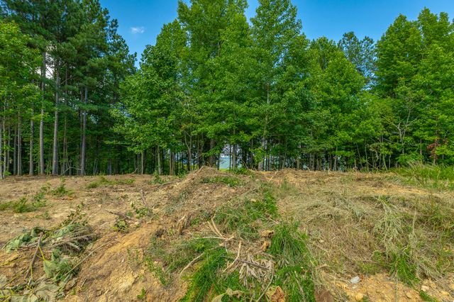 0 High Ground Road 2222, Guild, TN 37340