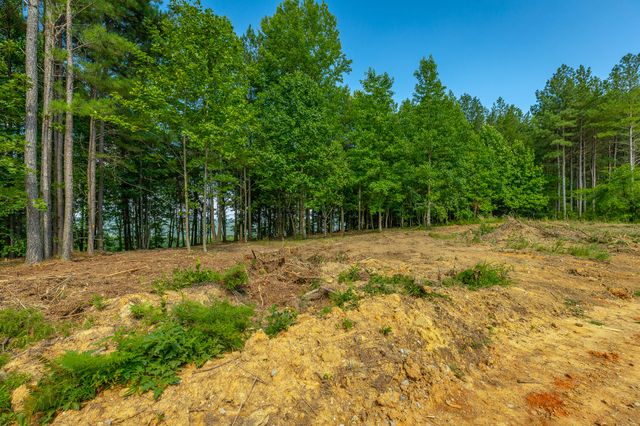 0 High Ground Road 2222, Guild, TN 37340