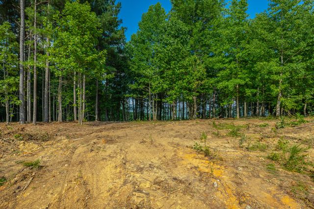 0 High Ground Road 2222, Guild, TN 37340