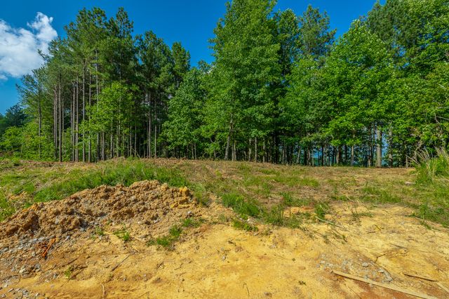 0 High Ground Road 2222, Guild, TN 37340