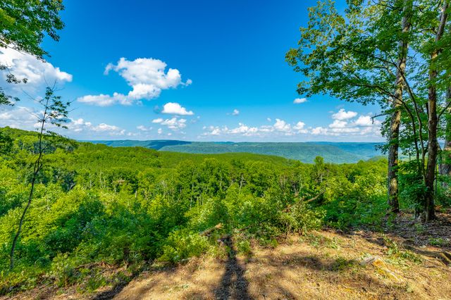0 High Ground Road 2222, Guild, TN 37340