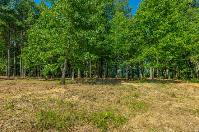 0 High Ground Road 2222, Guild, TN 37340
