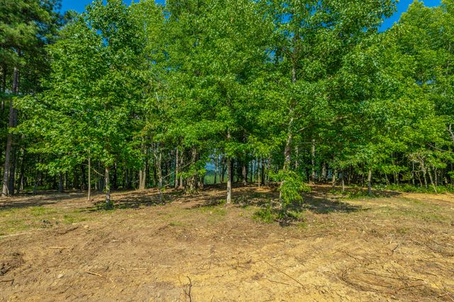 0 High Ground Road 2222, Guild, TN 37340