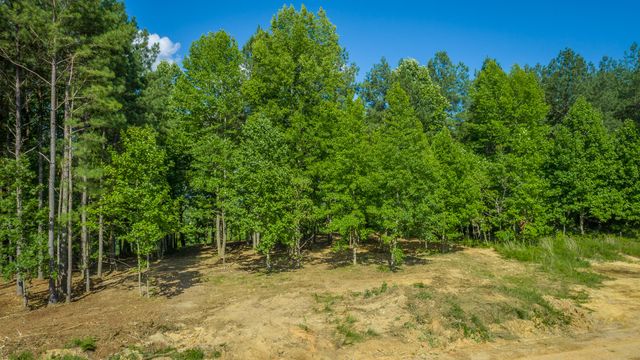 0 High Ground Road 2222, Guild, TN 37340