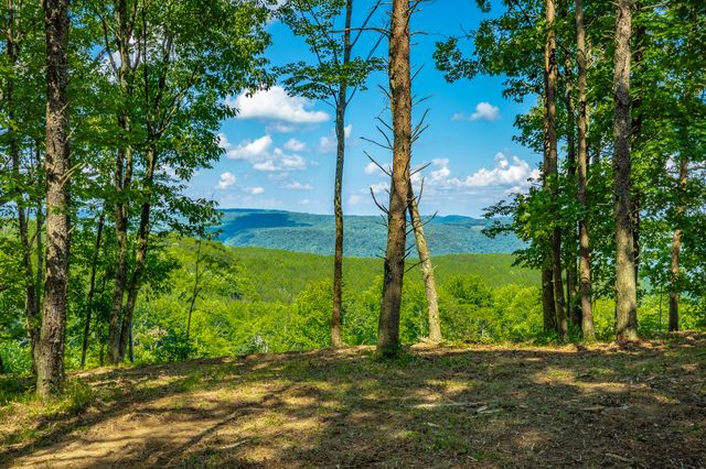0 High Ground Road 2222, Guild, TN 37340