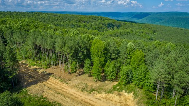 0 High Ground Road 2222, Guild, TN 37340