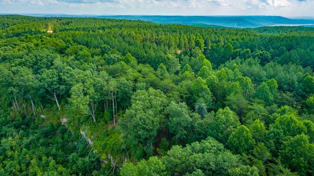 0 High Ground Road 2222, Guild, TN 37340