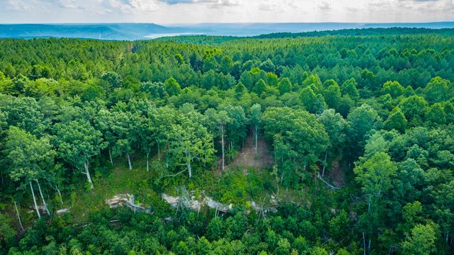 0 High Ground Road 2222, Guild, TN 37340