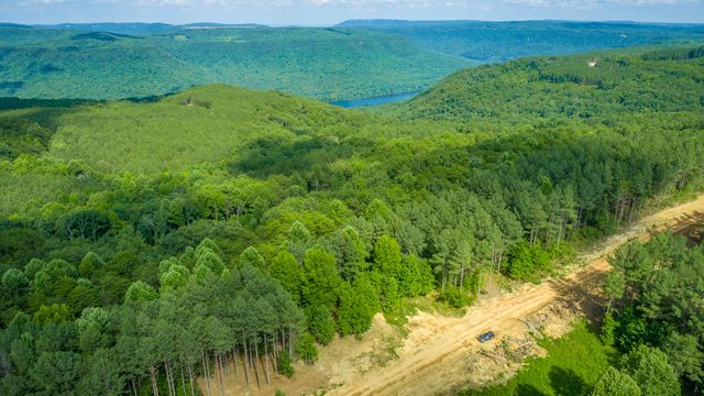 0 High Ground Road 2222, Guild, TN 37340