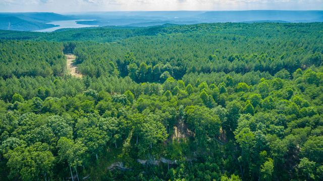 0 High Ground Road 2222, Guild, TN 37340