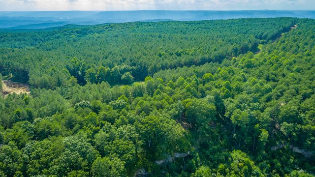 0 High Ground Road 2222, Guild, TN 37340