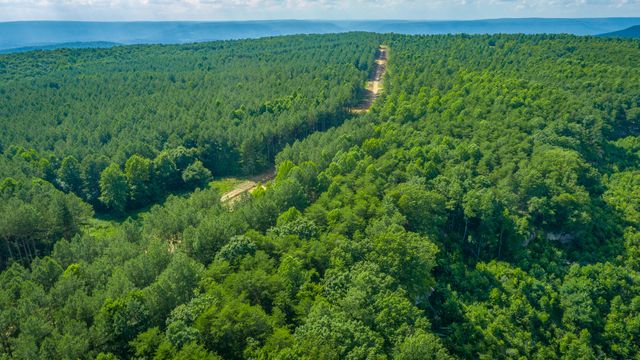 0 High Ground Road 2222, Guild, TN 37340