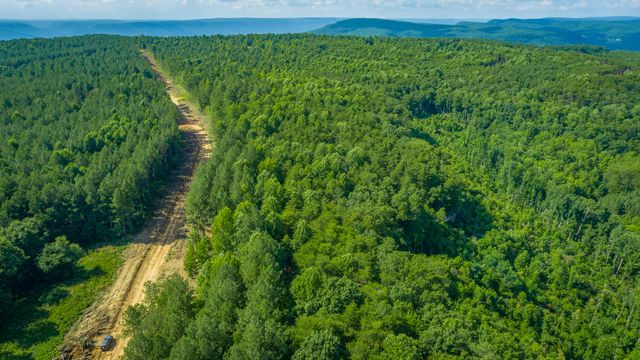 0 High Ground Road 2222, Guild, TN 37340