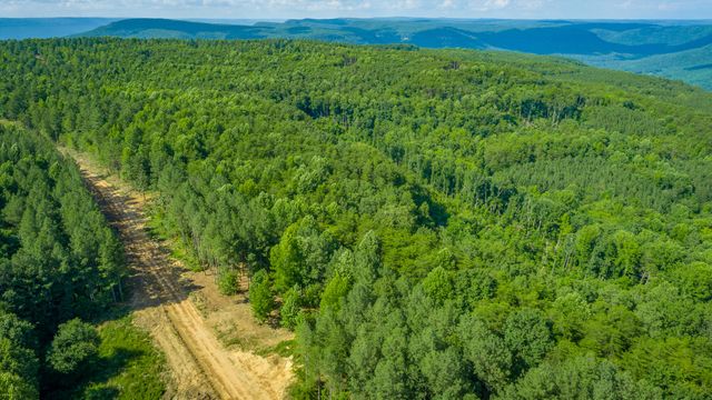 0 High Ground Road 2222, Guild, TN 37340