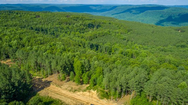0 High Ground Road 2222, Guild, TN 37340