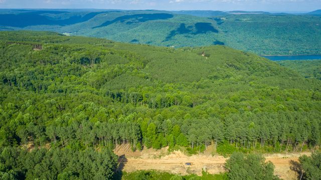 0 High Ground Road 2222, Guild, TN 37340