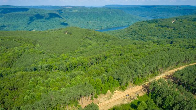 0 High Ground Road 2222, Guild, TN 37340