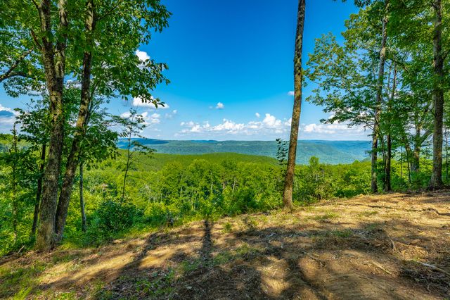0 High Ground Road 2222, Guild, TN 37340