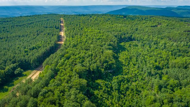 0 High Ground Road 2222, Guild, TN 37340