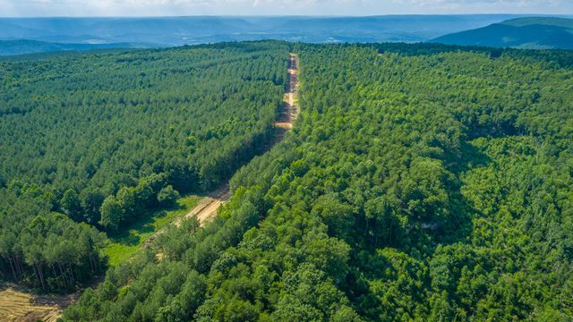 0 High Ground Road 2222, Guild, TN 37340