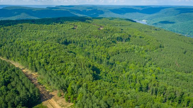 0 High Ground Road 2222, Guild, TN 37340