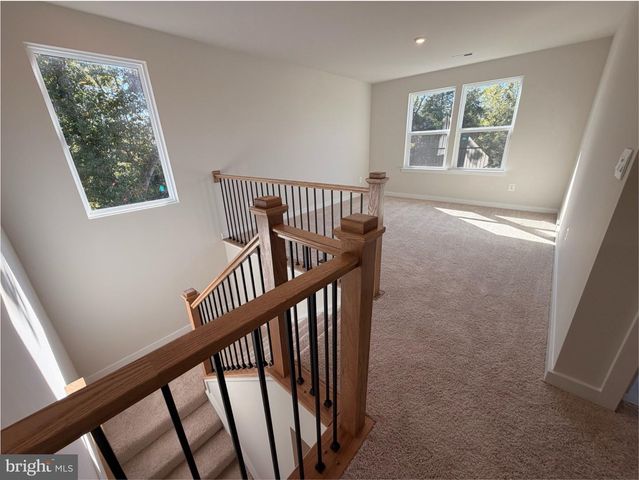 9109 BELL MARE LN, Rixeyville, VA 22737