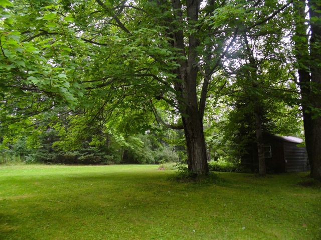 2528 Gardner Street, Alger, MI 48610