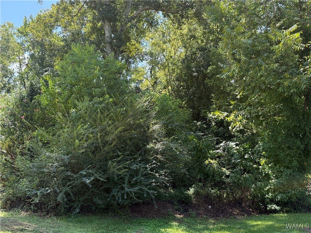 000 HOOD, Tuscaloosa, AL 35404