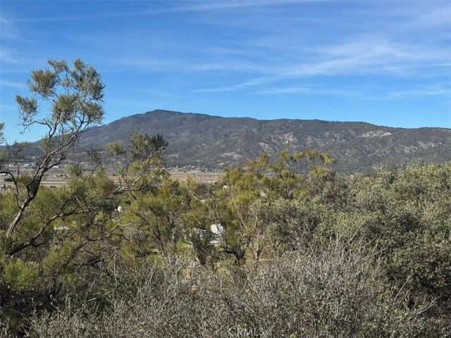 0 Wellman, Anza, CA 92539