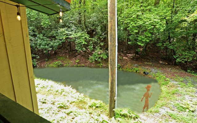 5557 Joe Brown Hwy, Murphy, NC 28906