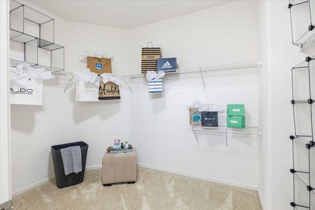 1184 Segolily Ln, Lincoln, CA 95648