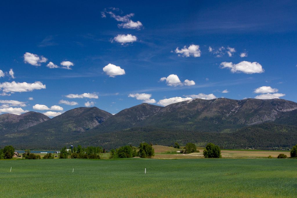 116 Red Tail Road, Polson, MT 59860 photo 39