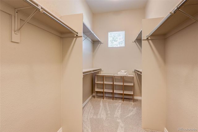 6079 W Calhoun Drive, Littleton, CO 80123