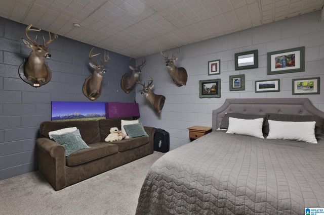 680 RIVERVIEW DRIVE, Cropwell, AL 35054