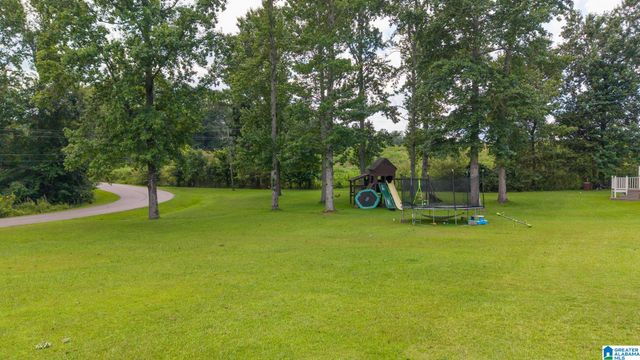 680 RIVERVIEW DRIVE, Cropwell, AL 35054
