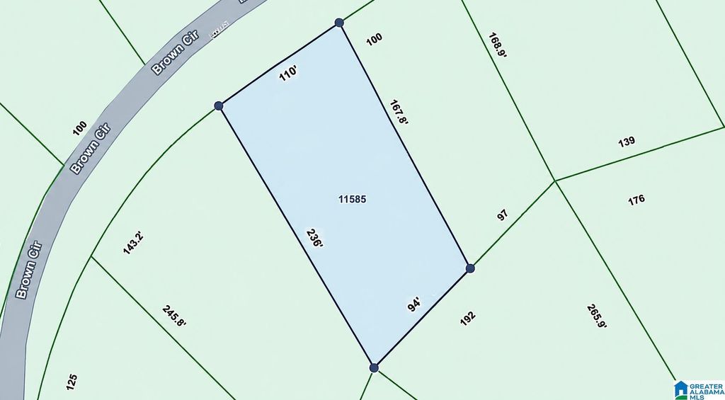 11585 BROWN CIRCLE, Woodstock, AL 35188