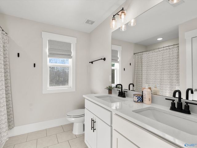 29376 Canoe Circle, Harvest, AL 35749