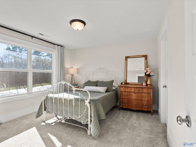 29376 Canoe Circle, Harvest, AL 35749