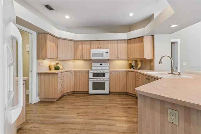 19623 LAKE OSCEOLA LANE, Odessa, FL 33556