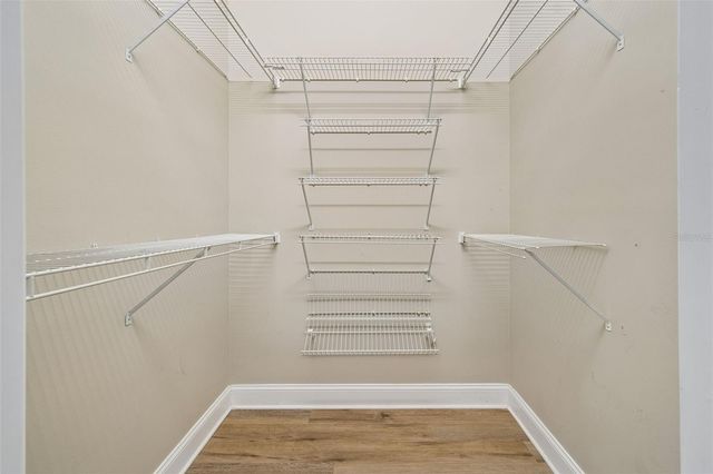 19623 LAKE OSCEOLA LANE, Odessa, FL 33556