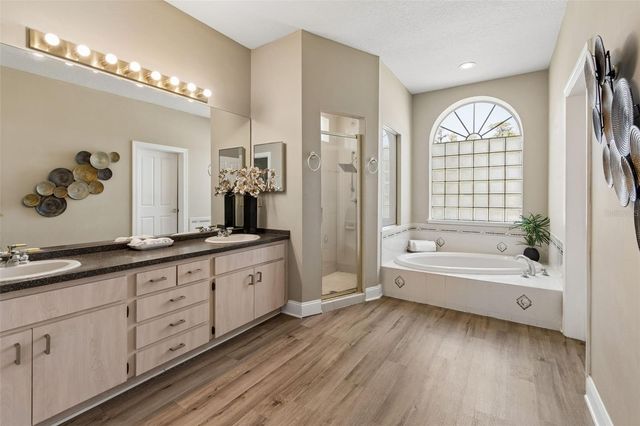 19623 LAKE OSCEOLA LANE, Odessa, FL 33556