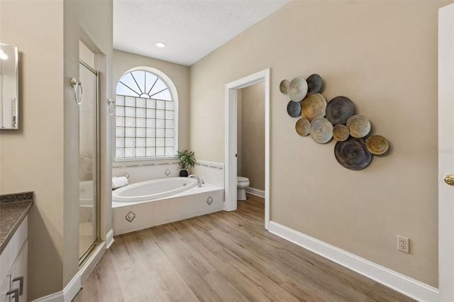 19623 LAKE OSCEOLA LANE, Odessa, FL 33556