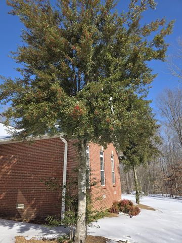 662 Oak Shadow Dr, New Johnsonville, TN 37134