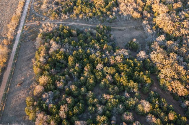 000 TBD 17+/- Ac Grassyville RD, Paige, TX 78659