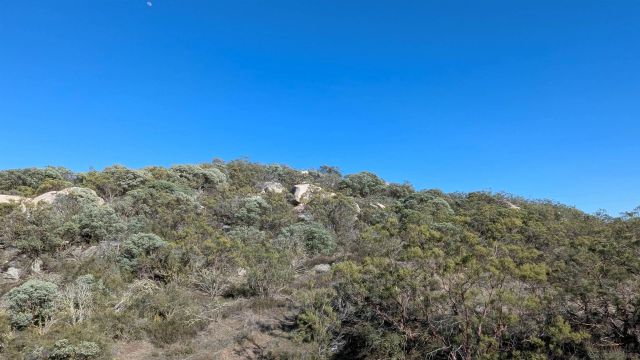 778 Lot on Crazy Horse Canyon 778, Aguanga, CA 92536