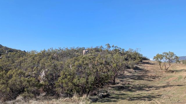 778 Lot on Crazy Horse Canyon 778, Aguanga, CA 92536