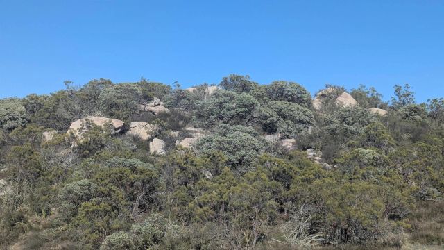778 Lot on Crazy Horse Canyon 778, Aguanga, CA 92536