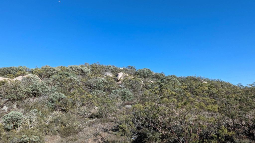 778 Lot on Crazy Horse Canyon 778, Aguanga, CA 92536